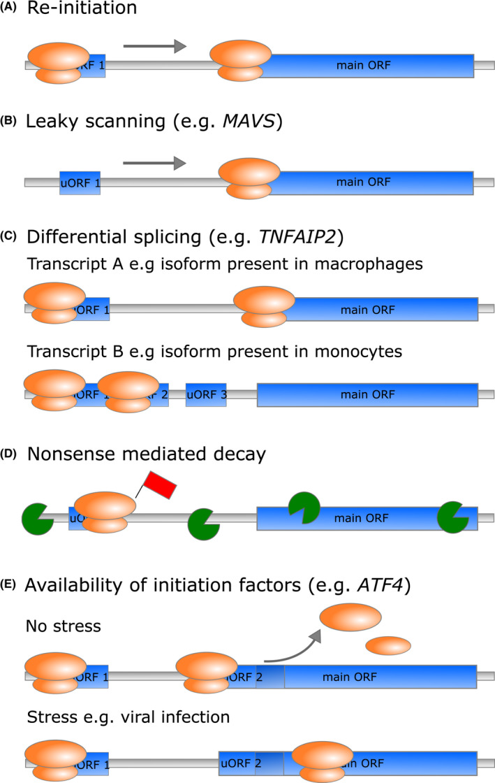 FIGURE 3