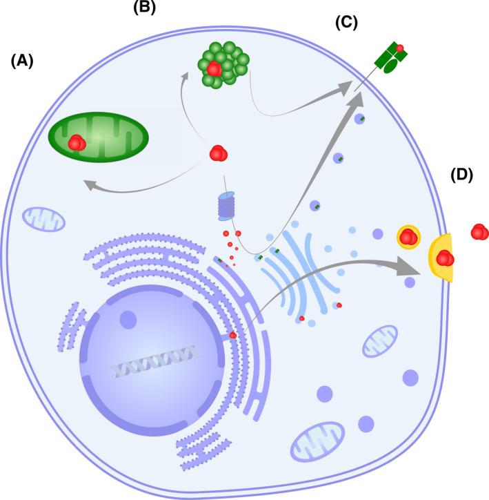 FIGURE 2