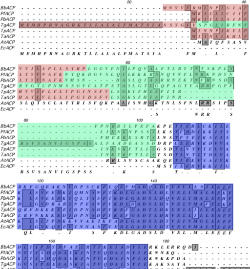 Supplementary Fig. S1