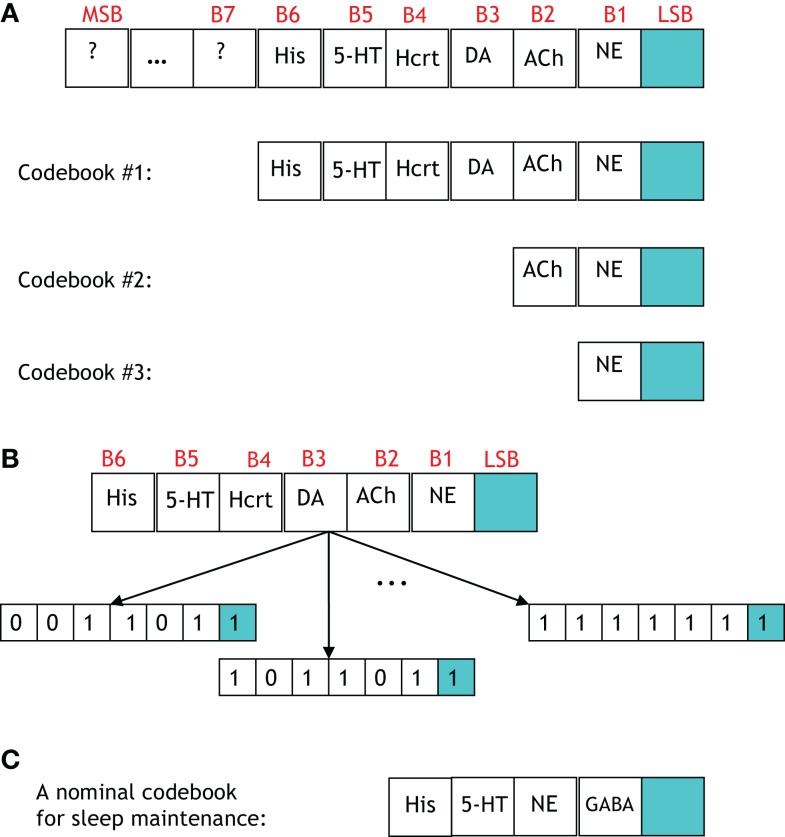 Figure 9