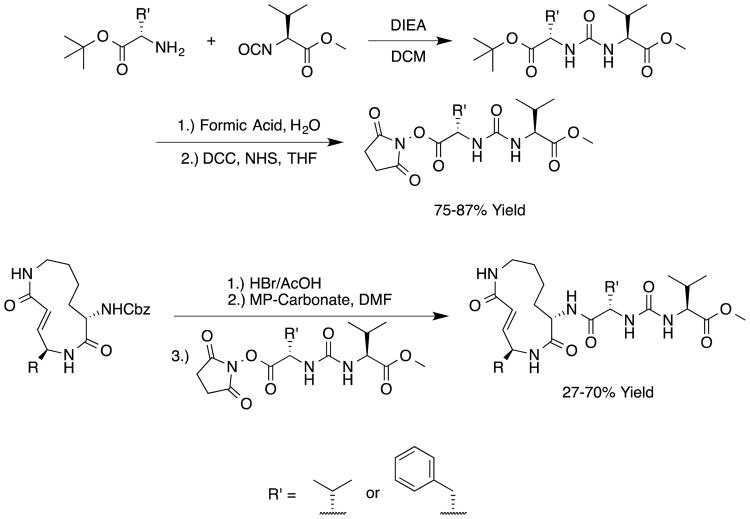 Scheme 2