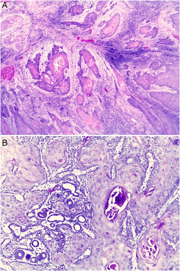 Figure 4