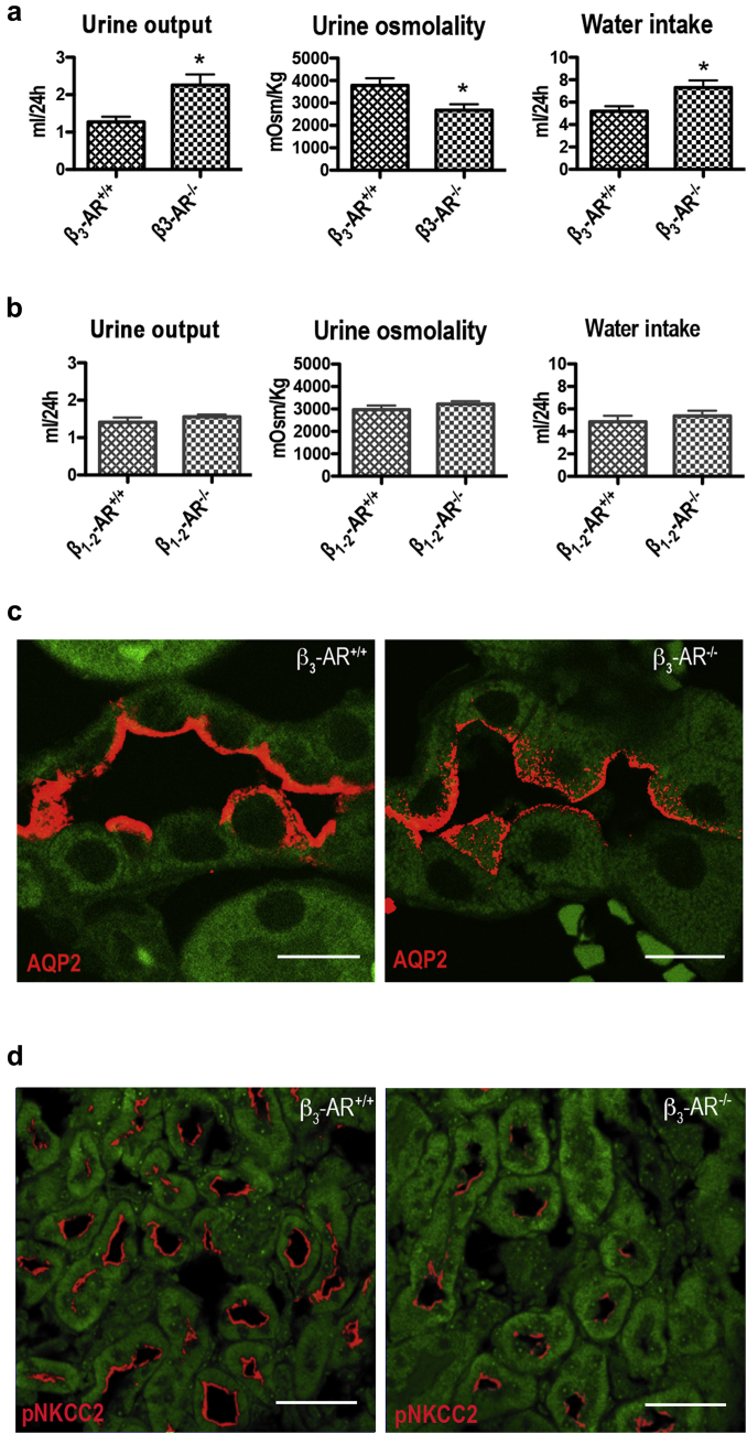 Figure 5