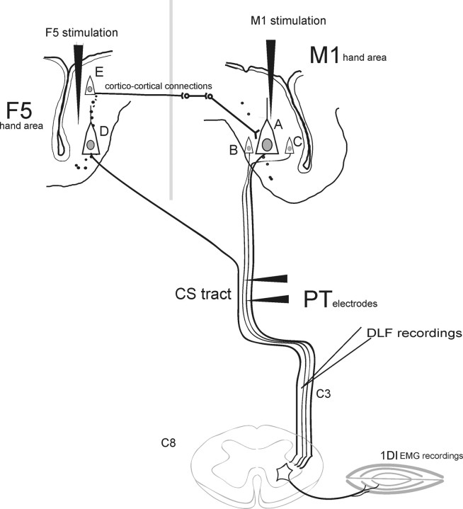 Figure 9.