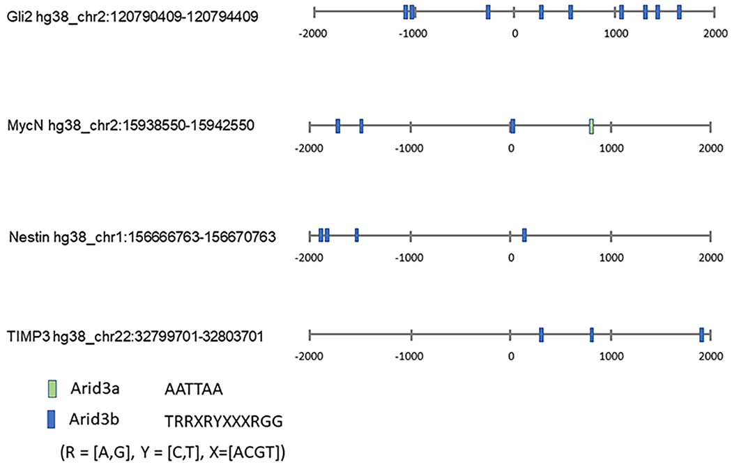 Figure 2: