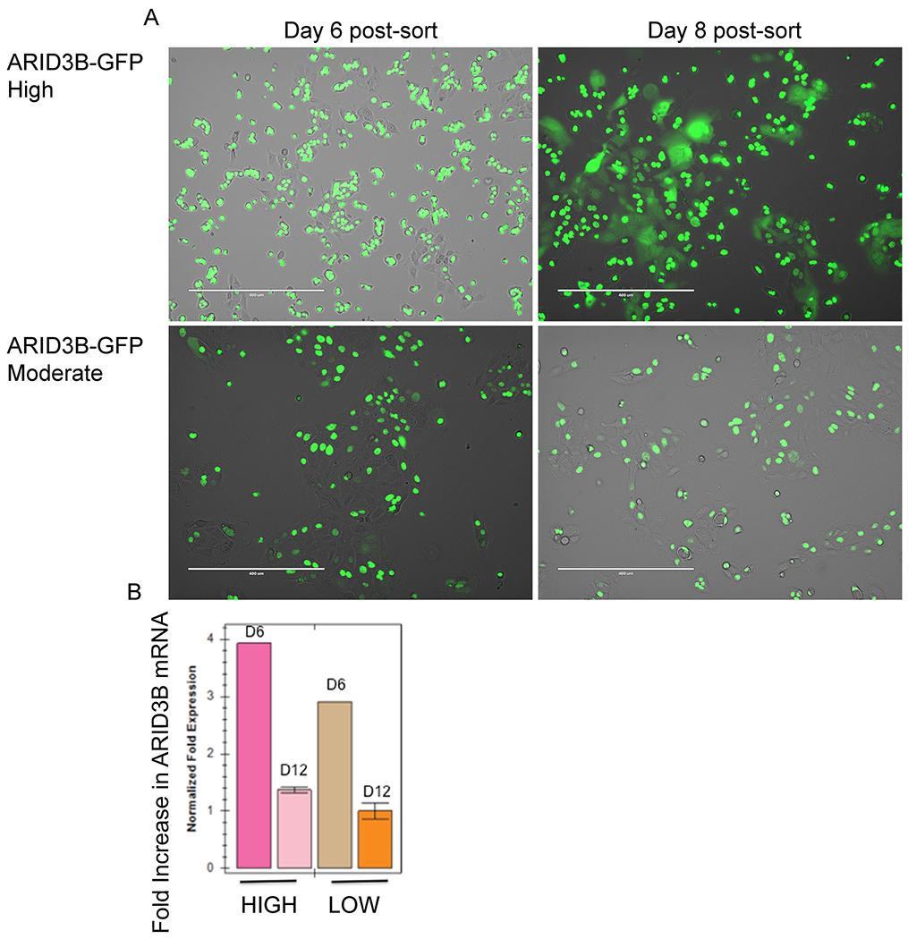 Figure 4: