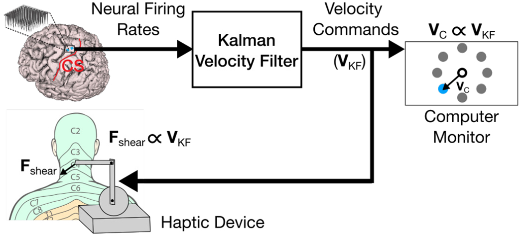 Fig. 2: