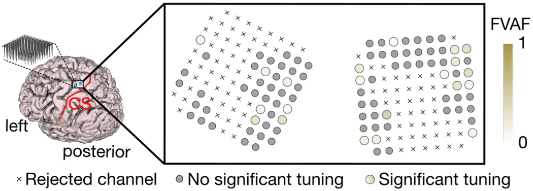 Fig. 8: