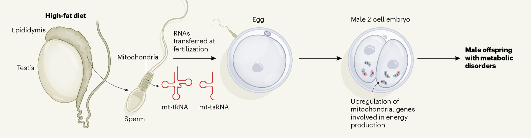 Figure 1 |