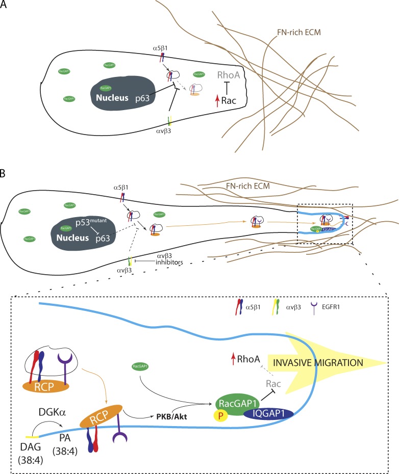 Figure 10.