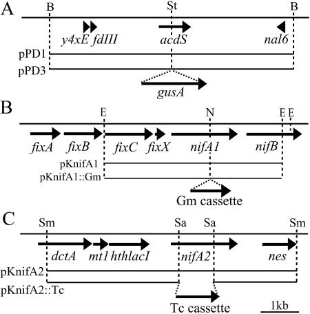 FIG. 1.