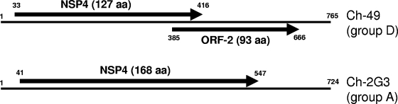 FIG. 2.