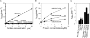 FIGURE 4.