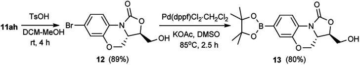 Scheme 3