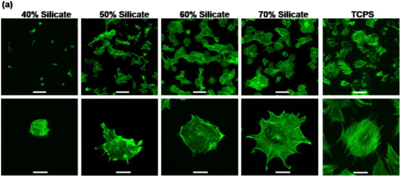 Fig. 12