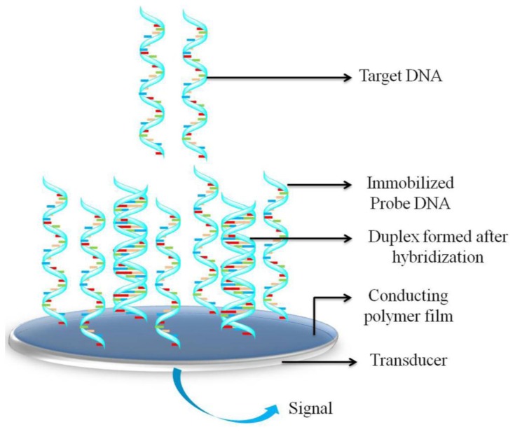 Figure 1.