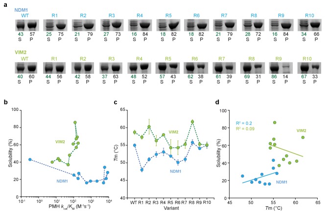 Figure 3—figure supplement 1.