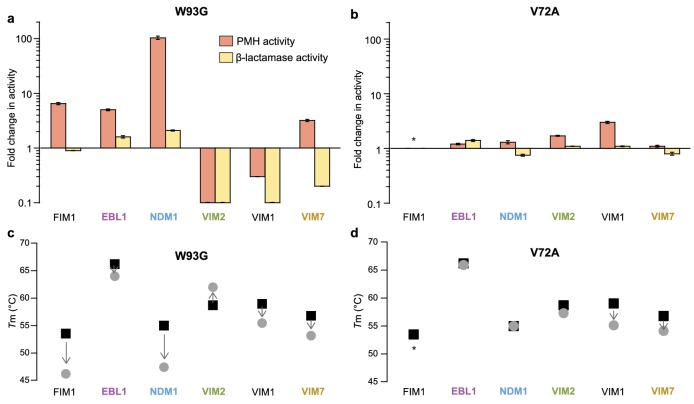 Figure 2—figure supplement 2.