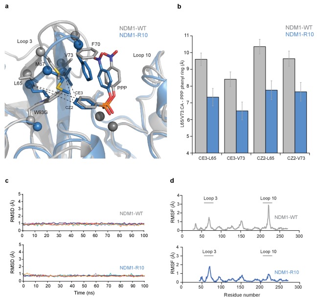 Figure 5—figure supplement 1.