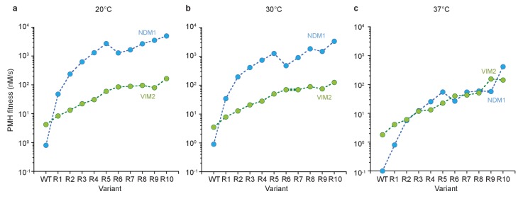 Figure 3—figure supplement 3.