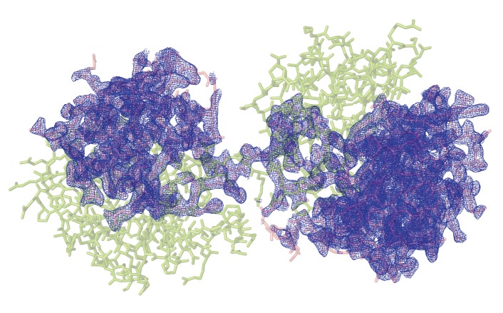 Figure 4—figure supplement 1.