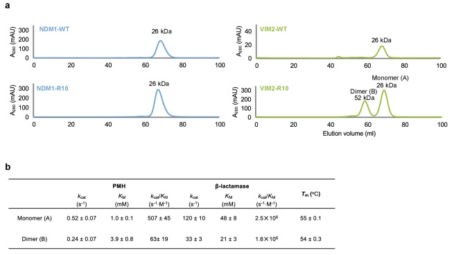 Figure 3—figure supplement 2.