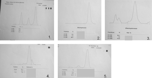 Fig. 4