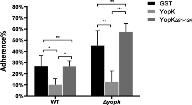 FIG 6