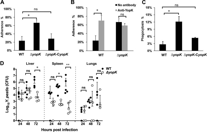 FIG 3