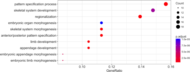 Figure 3: