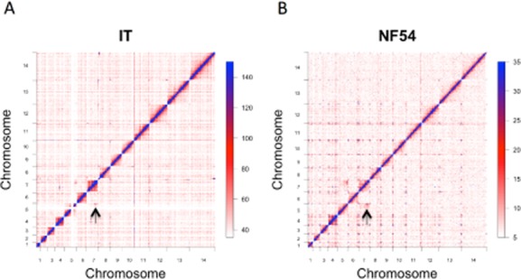 Fig 2