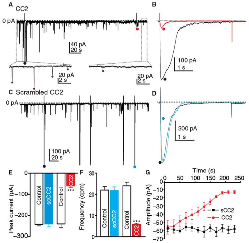 Fig. 7.