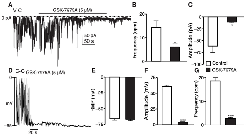 Fig. 8.