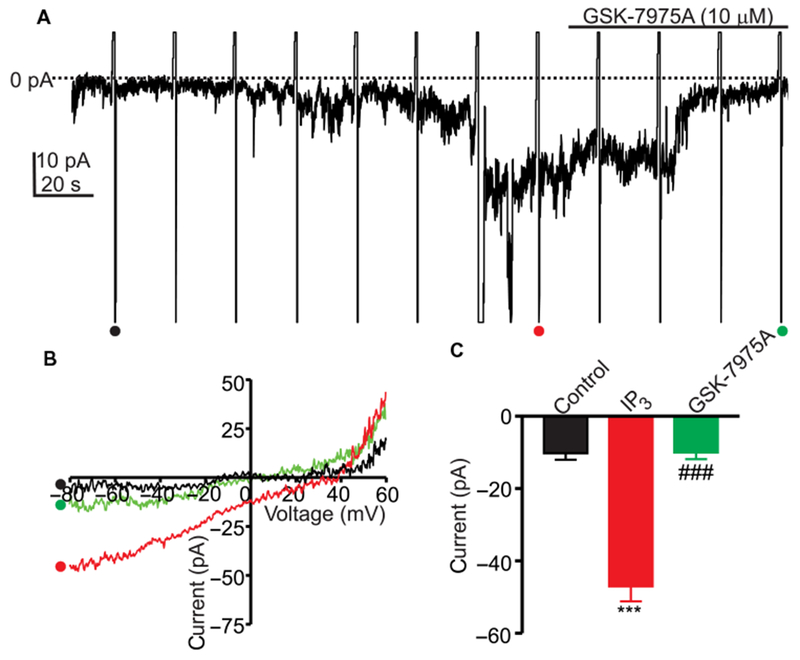 Fig. 6.