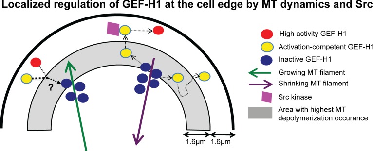 Figure 9.