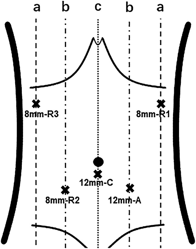 Fig. 1