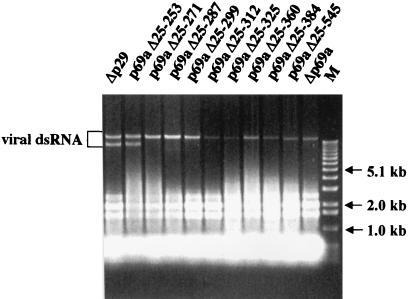 FIG. 5.