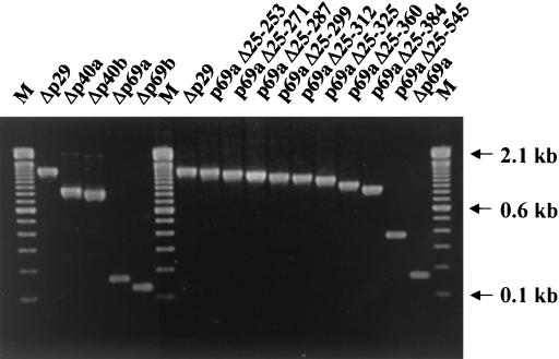 FIG. 7.