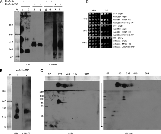 FIGURE 11.