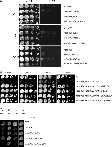 FIGURE 5.