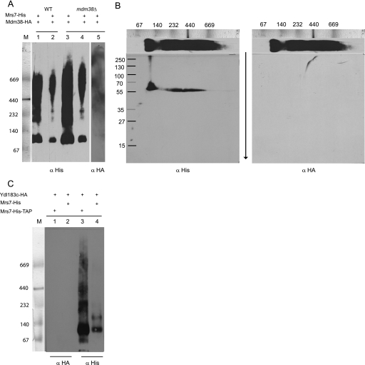 FIGURE 10.