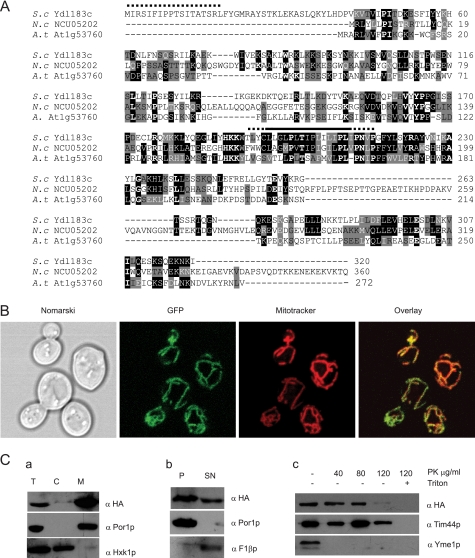 FIGURE 4.