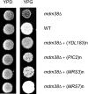FIGURE 1.