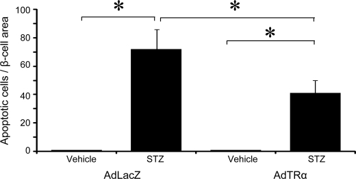 FIGURE 9.