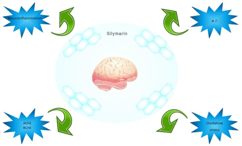 Figure 7