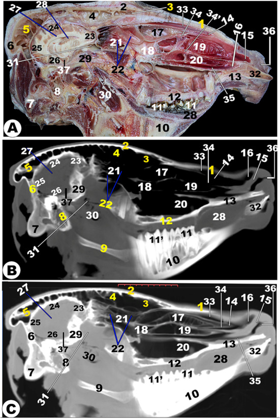 Fig. 13