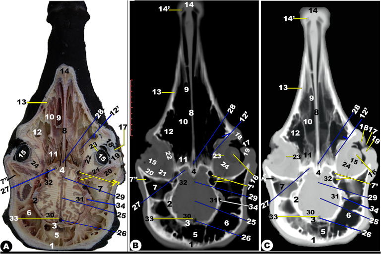 Fig. 10