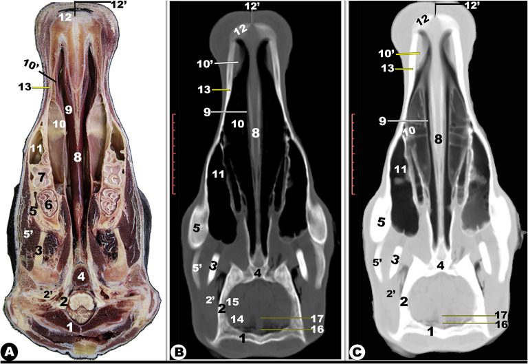 Fig. 9