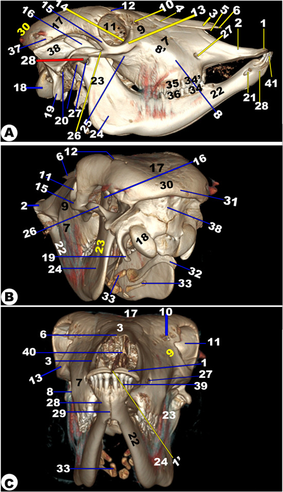 Fig. 15