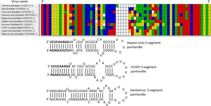 Figure 6.